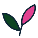 Livraison offerte dès 49€ d'achat